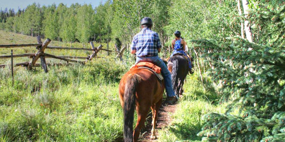 Horseback Riding